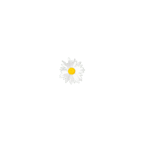 Flower Sticker by Coca-Cola Nederland