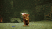 Cat GIF by Annapurna Interactive