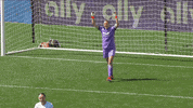 Lets Go Fist Pump GIF by National Women's Soccer League