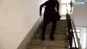 GIF by Giffffr