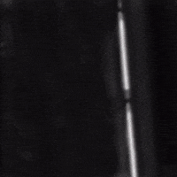 Jong Oranje Ryan GIF