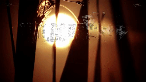 season 5 horror GIF