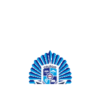 cvmvidaeensino cvm colégio cvm vida e ensino colégio militar cvmvidaeensino Sticker