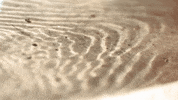 Beach Wave GIF by jorgemariozuleta