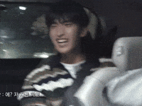 Laughter Laughing GIF