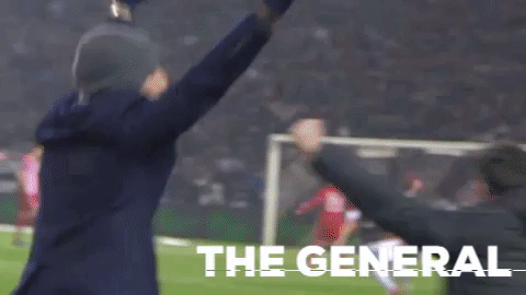 the general paokfamily GIF by PAOK FC