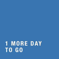 Dutchyoungcreatives  GIF