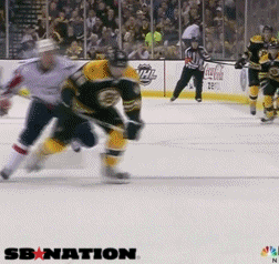 nhl GIF by SB Nation