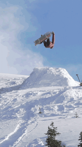 Flip Snowboarding GIF by Elevated Locals