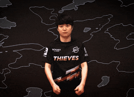 League Of Legends Ok GIF by 100 Thieves