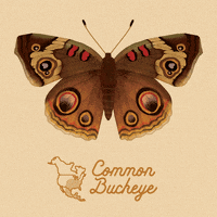 art illustration GIF by NeonMob