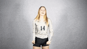 Iwutitans Tgoe GIF by iwusports