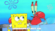 season 9 episode 3 GIF by SpongeBob SquarePants