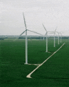 Go Green GIF by Jocqua