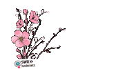 flower spring Sticker by SWR Kindernetz
