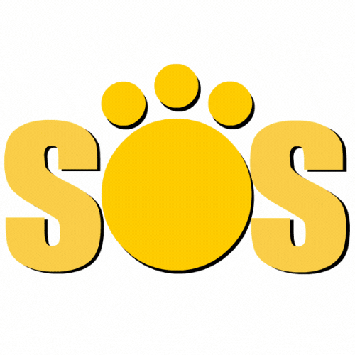 SOS_ENCONTRANDO_MASCOTAS logo perro sos lola GIF