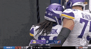 Minnesota Vikings Football GIF by NFL