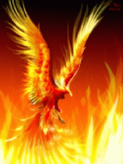 phoenix GIF