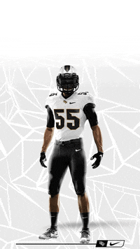 football wallpaper GIF by UCF Knights
