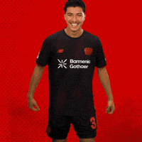 Bayer 04 Bundesliga GIF by Bayer 04 Leverkusen