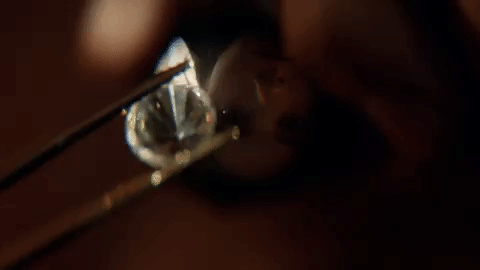 audience network GIF by Ice on Audience