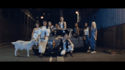 GIF by Island Records UK