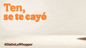 BurgerKingMx diadelawhoppermx GIF