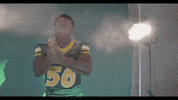 North Dakota State Bison GIF by NDSU Athletics