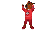 Freddy Hokej Sticker by HC Frýdek-Místek