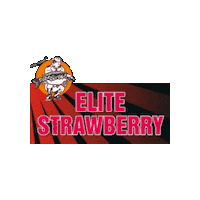 Strawberry Carpfishing Sticker by ImperialBaits