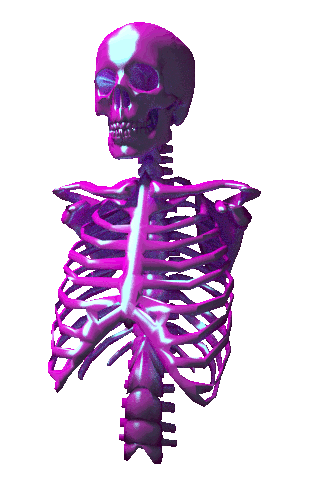 3D Skull GIF by badblueprints