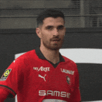 Stade Rennais Darts GIF by Ligue 1