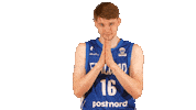 National Team Basketball Sticker by Basket_fi