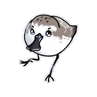 Firuo_drawingbirds wader 鷸鳥 琵嘴鷸 匙嘴鷸 Sticker