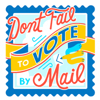 Voting Midterm Elections GIF by imrobinthisjoint