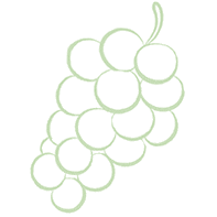 WeingutTuerk traube juzzz Sticker