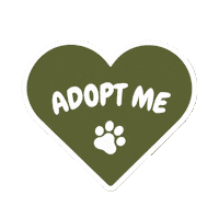 Pet Adopt Sticker by respekTiere e.V.