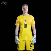 Fifa World Cup Uefa GIF by Respective