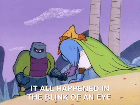 nickrewind giphydvr nicksplat angry beavers giphyab006 GIF