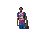 Football Chateauroux Sticker by La Berrichonne de Châteauroux