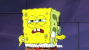 season 9 safe deposit krabs GIF by SpongeBob SquarePants