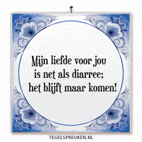 Humor Nl GIF by Tegelspreuken.nl