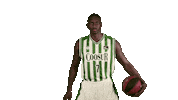 Liga Endesa Basketball Sticker by ACB