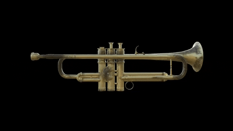 madisoncarroll01ba trumpet original brass rotating GIF