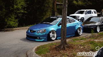 Show Stance GIF by Curated Stance!