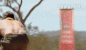 Challenge Gavin GIF by Australian Survivor