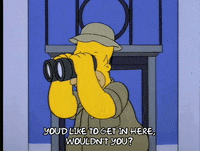 homer simpson GIF