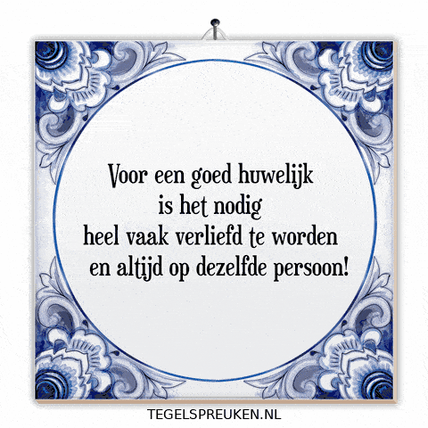 Humor Nl GIF by Tegelspreuken.nl