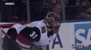 happy ice hockey GIF by NHL
