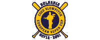 Slowpitch Sticker by Softball Europe